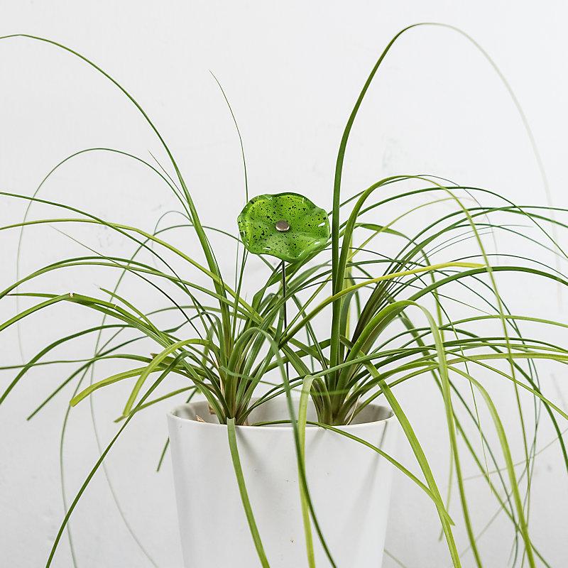 Deko Glasblume Mini Grün